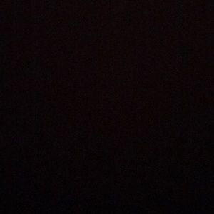 Meet your Posher, Chaz